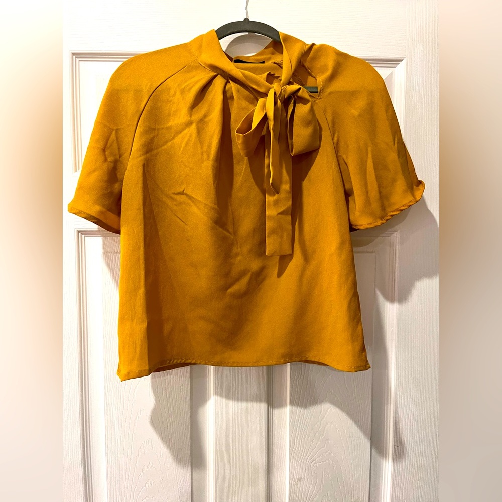 Necktie Gold Professional blouse